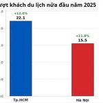luot_khach_du_lich_nua_dau_nam_2025_realnex