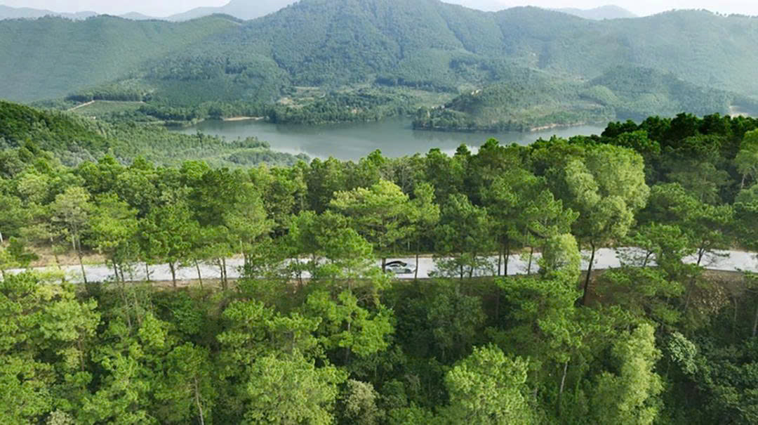 thanh_xuan_valley_realnex_5