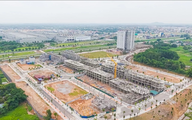 Homie-city-realnex-1