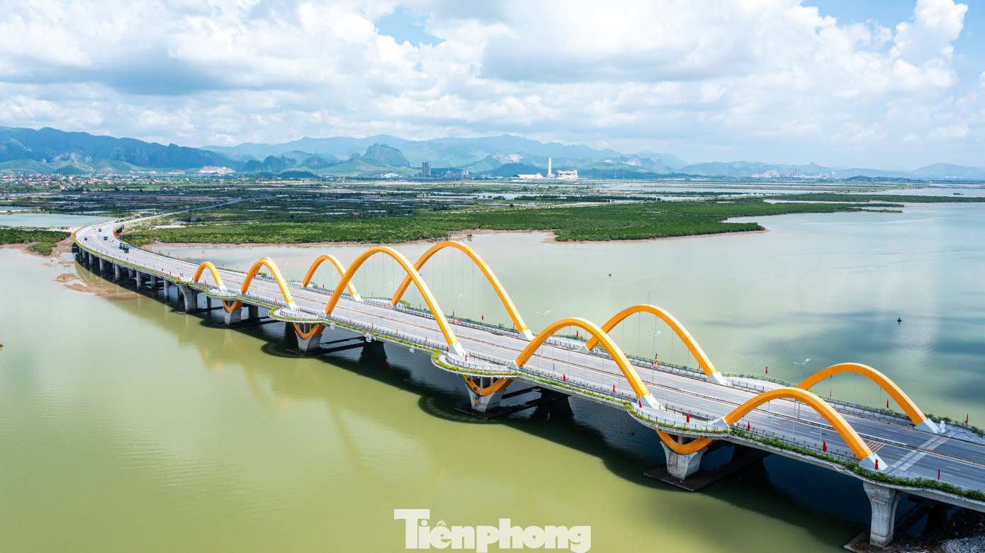 cong-trinh-mang-dau-an-quang-ninh realnex 2.1