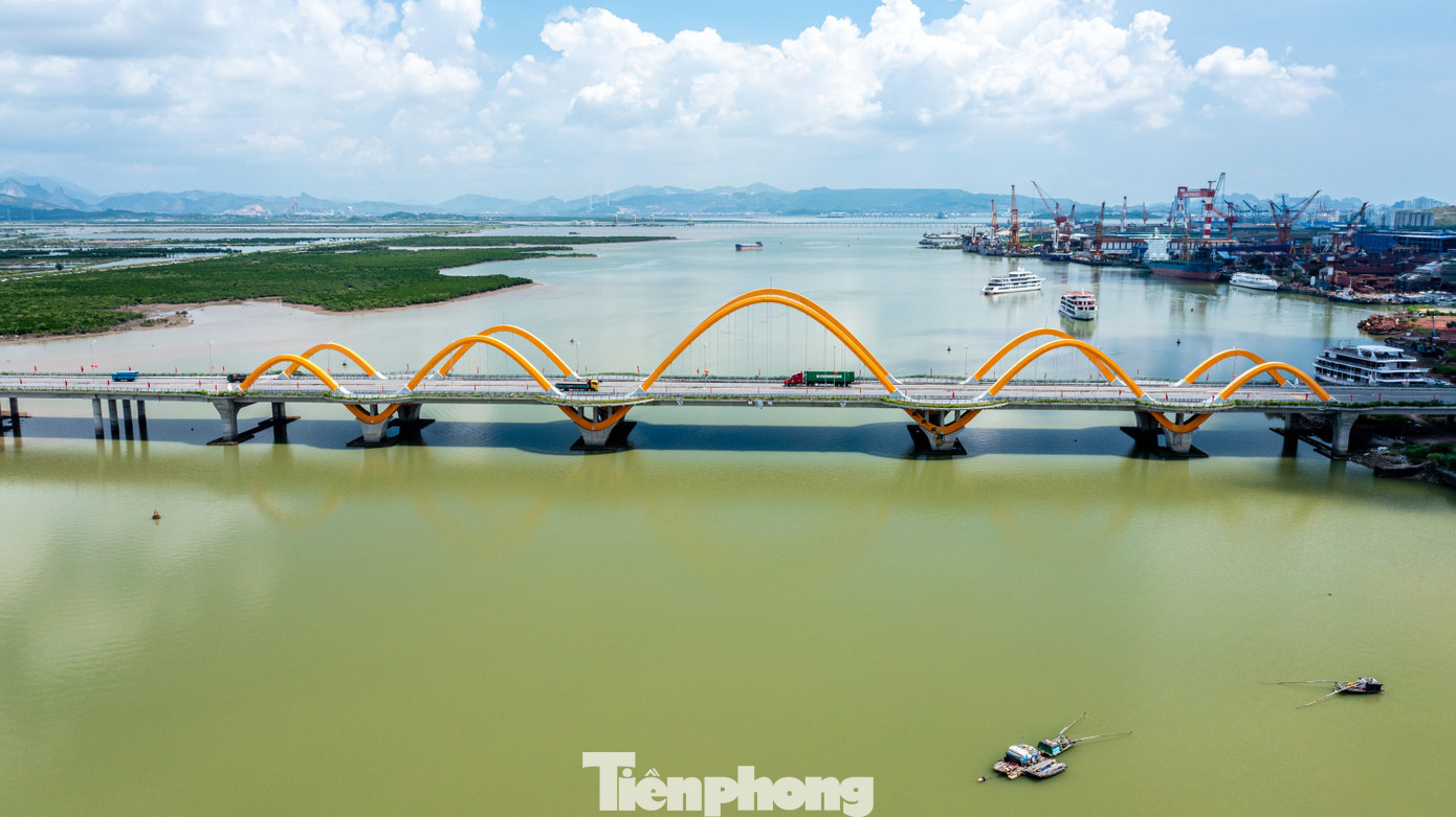 cong-trinh-mang-dau-an-quang-ninh realnex 2.3