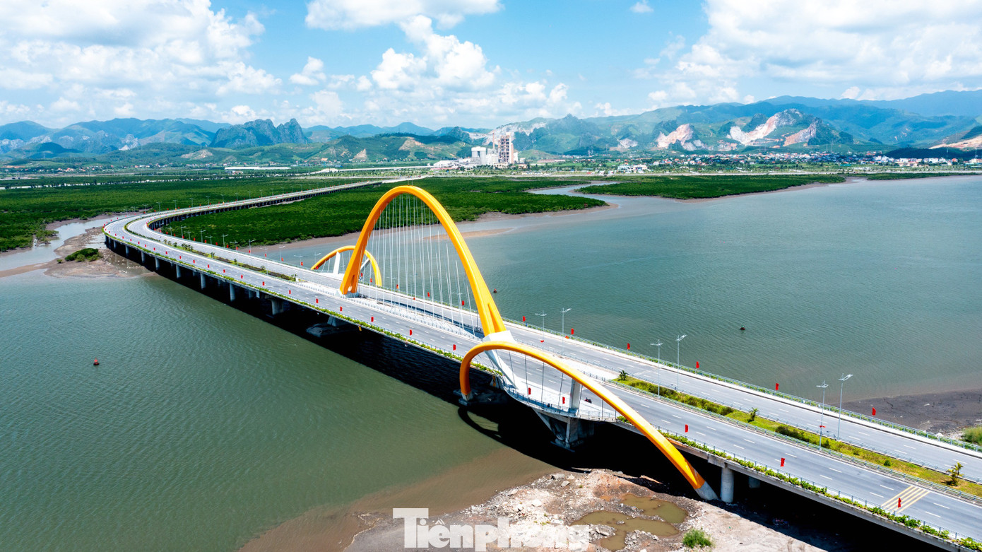 cong-trinh-mang-dau-an-quang-ninh realnex 2.4