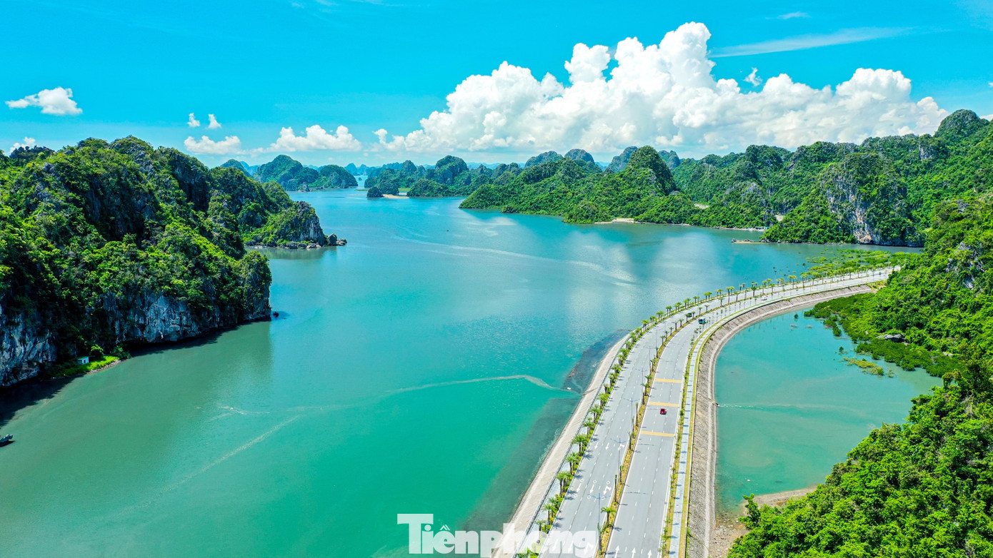 cong-trinh-mang-dau-an-quang-ninh realnex 3.2
