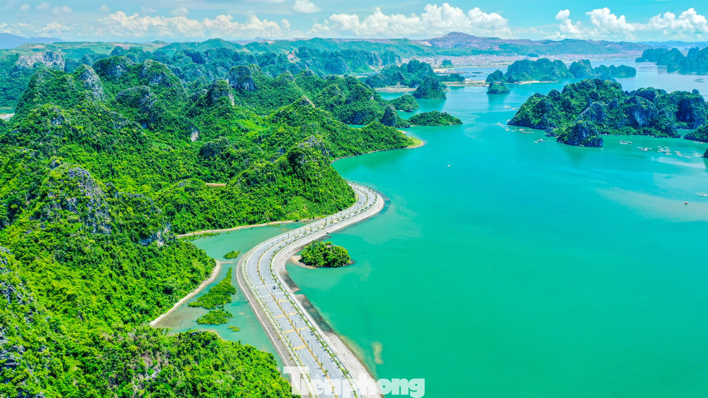 cong-trinh-mang-dau-an-quang-ninh realnex 3.3