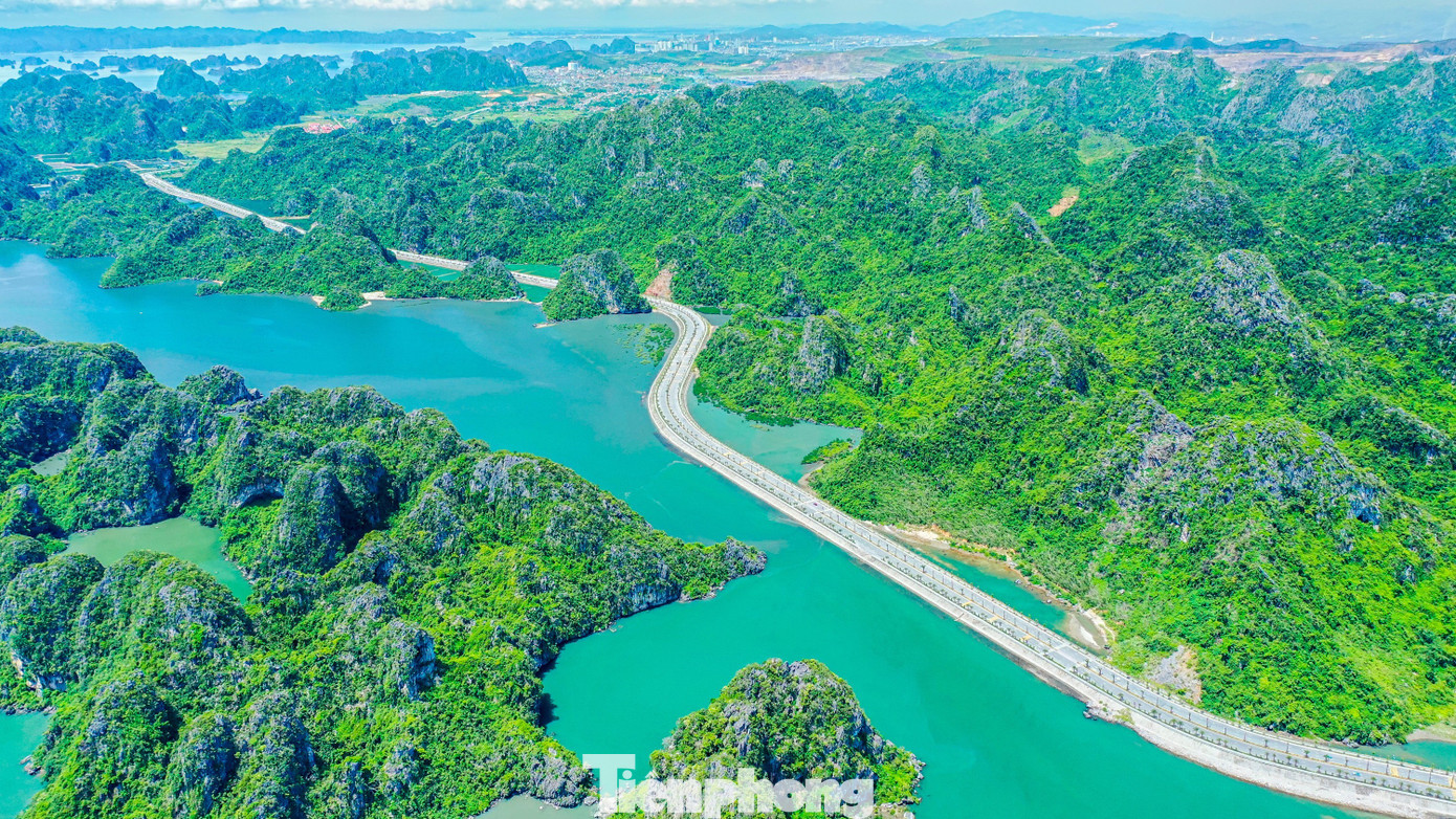cong-trinh-mang-dau-an-quang-ninh realnex 3