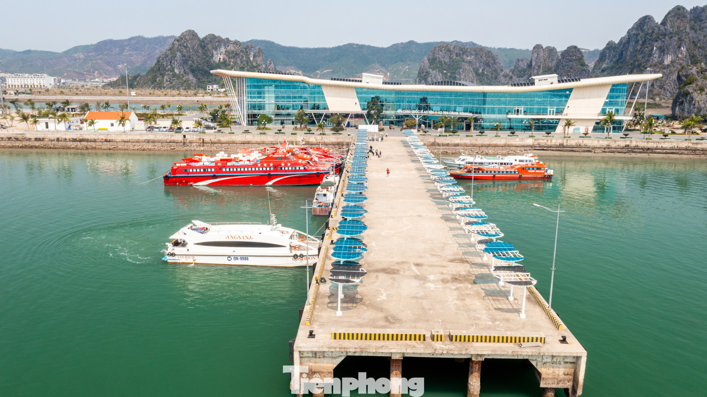cong-trinh-mang-dau-an-quang-ninh realnex 4.1