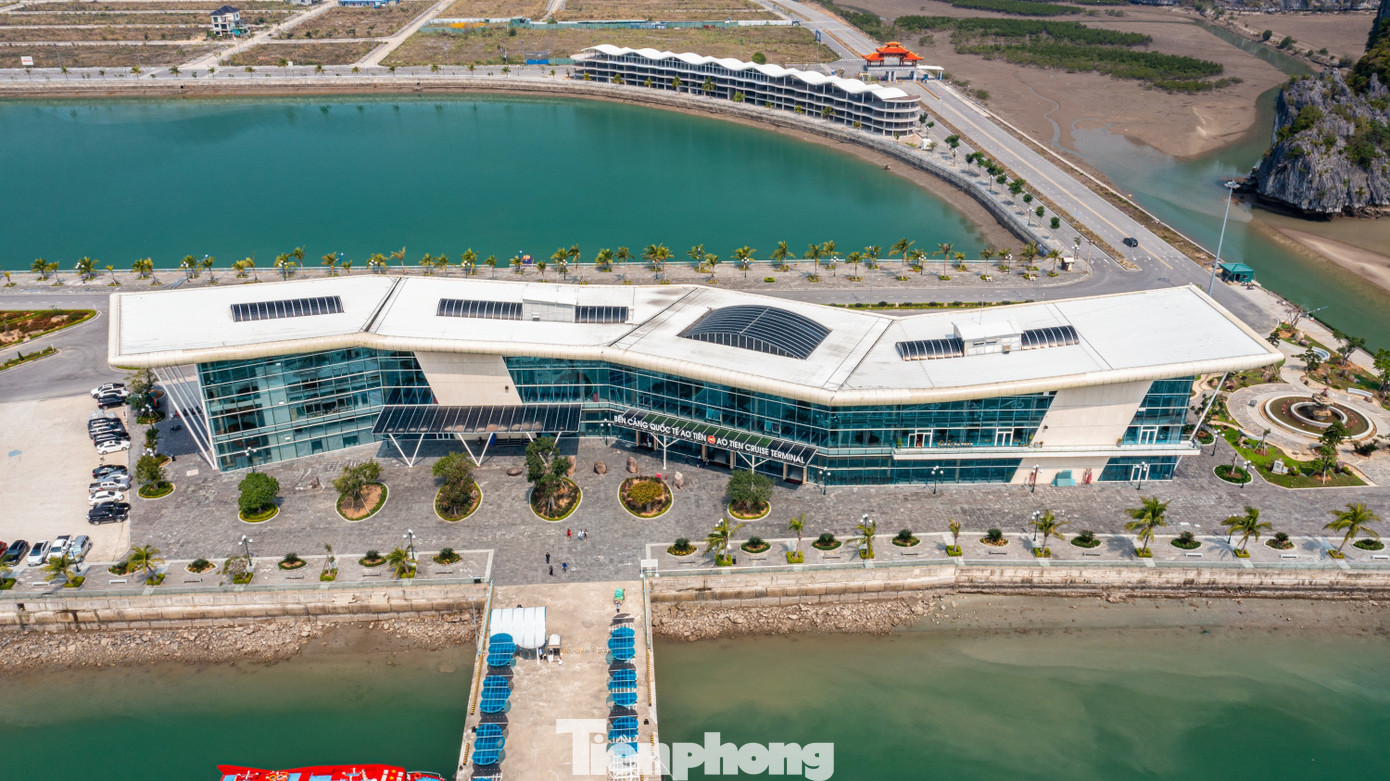 cong-trinh-mang-dau-an-quang-ninh realnex 4