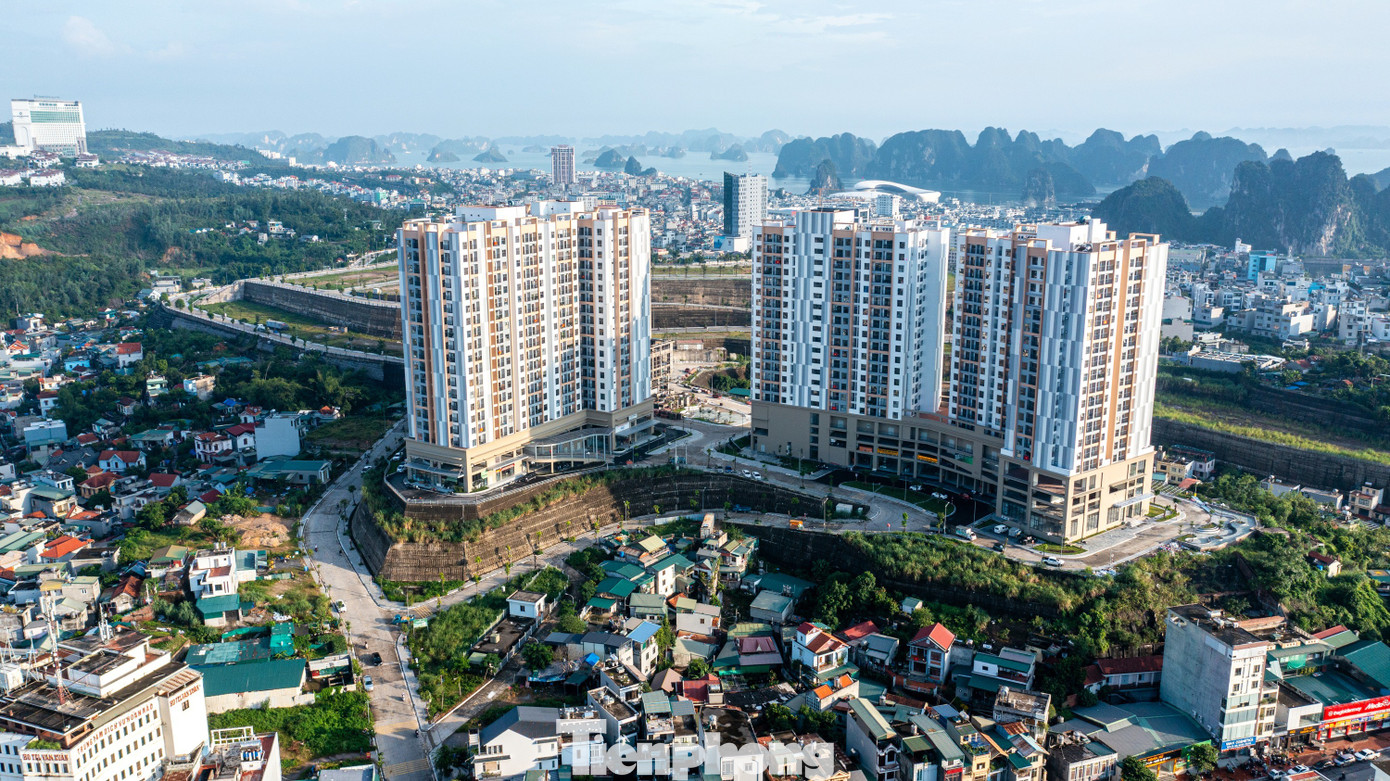 cong-trinh-mang-dau-an-quang-ninh realnex 5