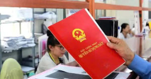 ha-noi-yeu-cau-dung-nop-ho-so-giay-lien-quan-den-thu-tuc-so-do-realnex