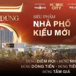 homie-city-realnex-1