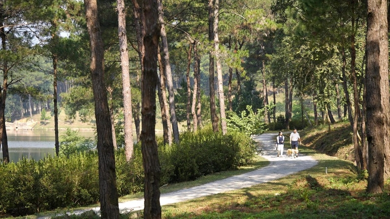 nguoi-thanh-xuan-nhung-cu-dan-tim-chon-tro-ve-giua-thien-nhien-ho-la-ai-realnex-1