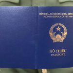 bay-truong-hop-bi-thu-hoi-huy-gia-tri-ho-chieu-tu-1-7_realnex