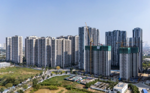 ha-noi-de-xuat-co-don-vi-hanh-chinh-kinh-te-dac-biet_realnex